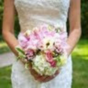 Meet your Posher, Meg